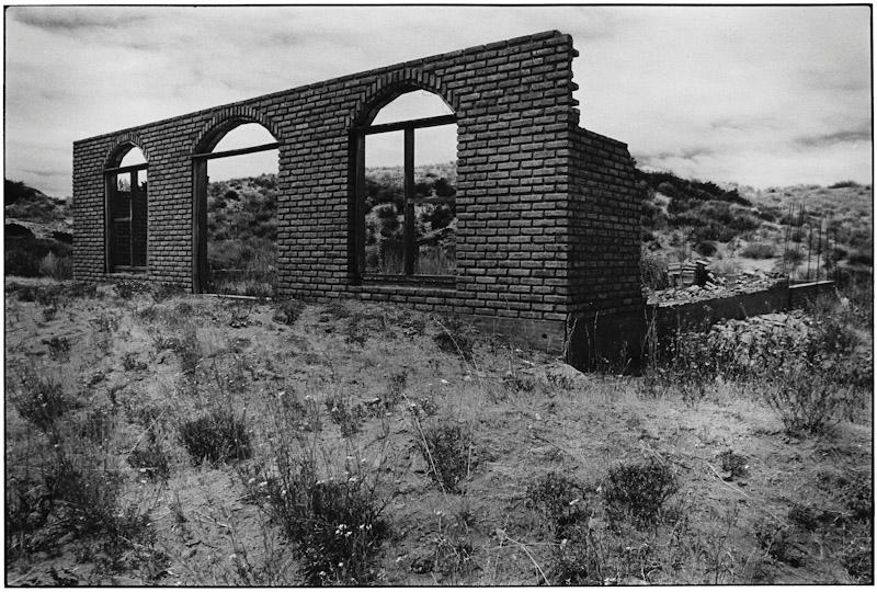 Punta Tombo, Patagonia, Argentina