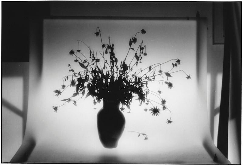 East Hampton, New York