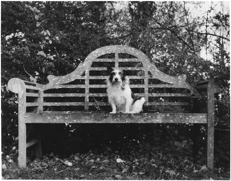 East Hampton, New York