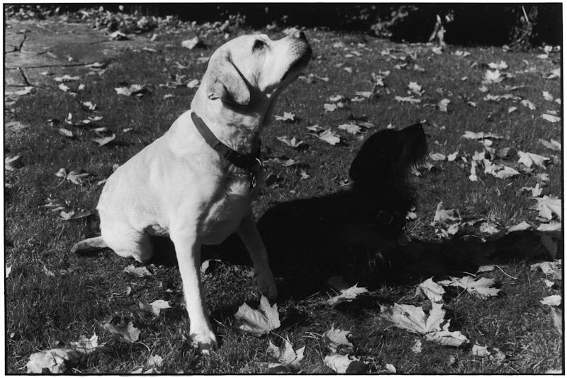 East Hampton, New York