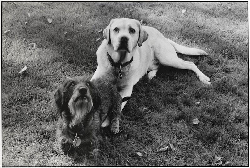 East Hampton, New York