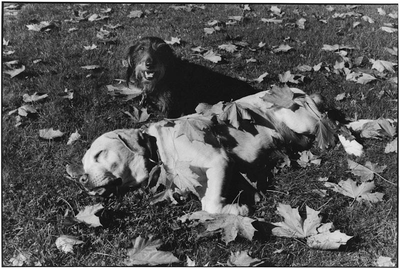 East Hampton, New York