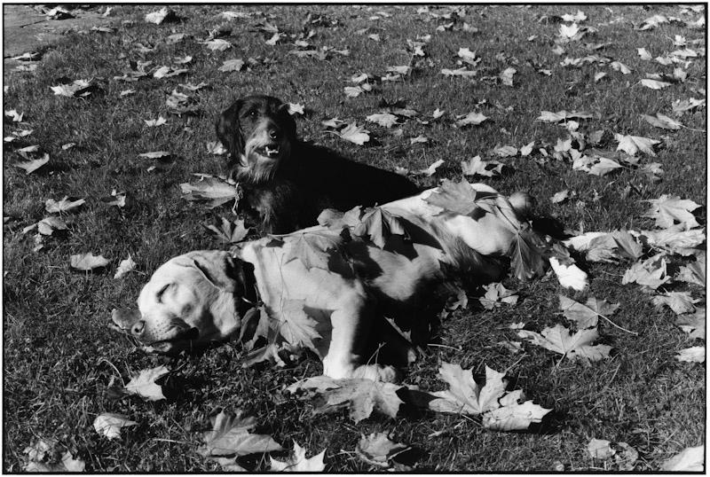 East Hampton, New York