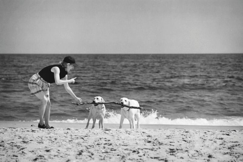 East Hampton, New York