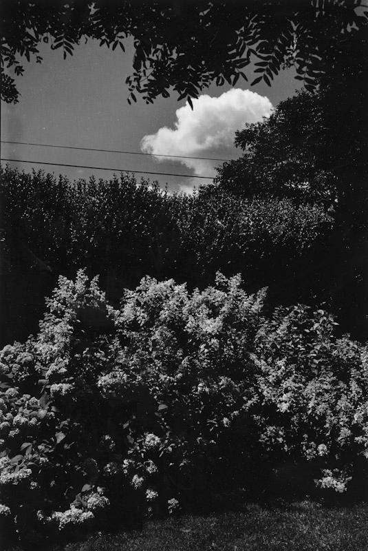 East Hampton, New York