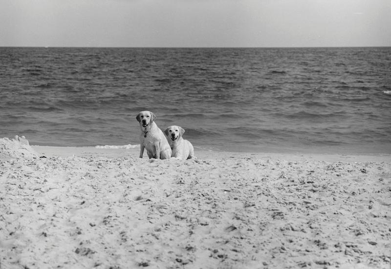 East Hampton, New York