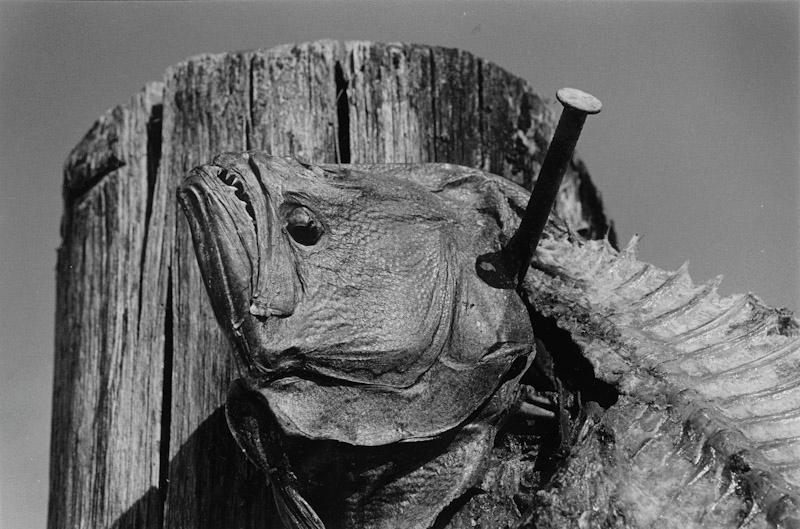 East Hampton, New York