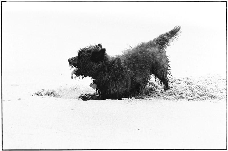 East Hampton, New York