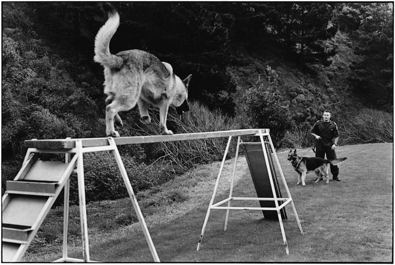 Auckland, New Zealand