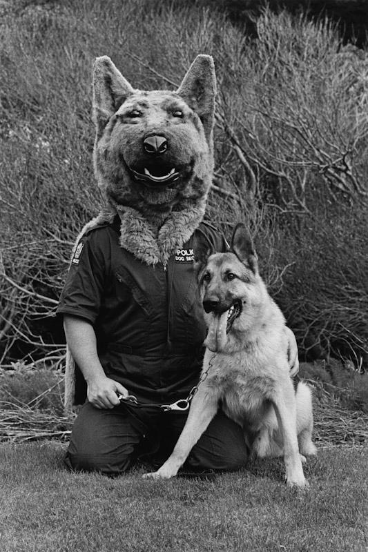 Auckland, New Zealand