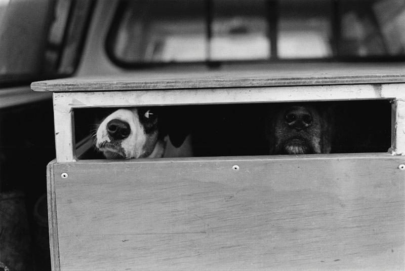 Auckland, New Zealand