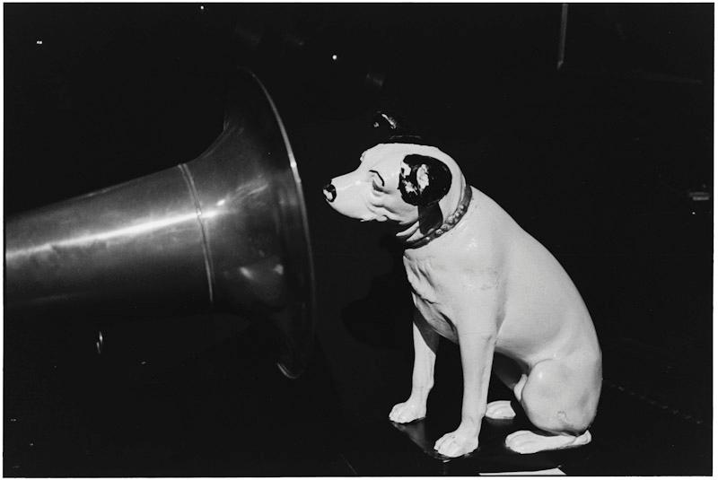 Auckland, New Zealand