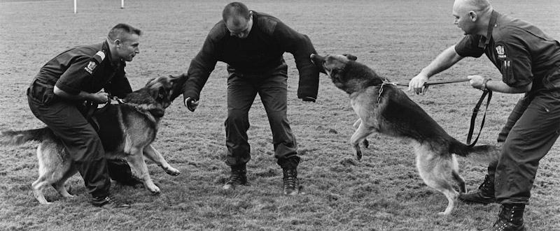 Auckland, New Zealand