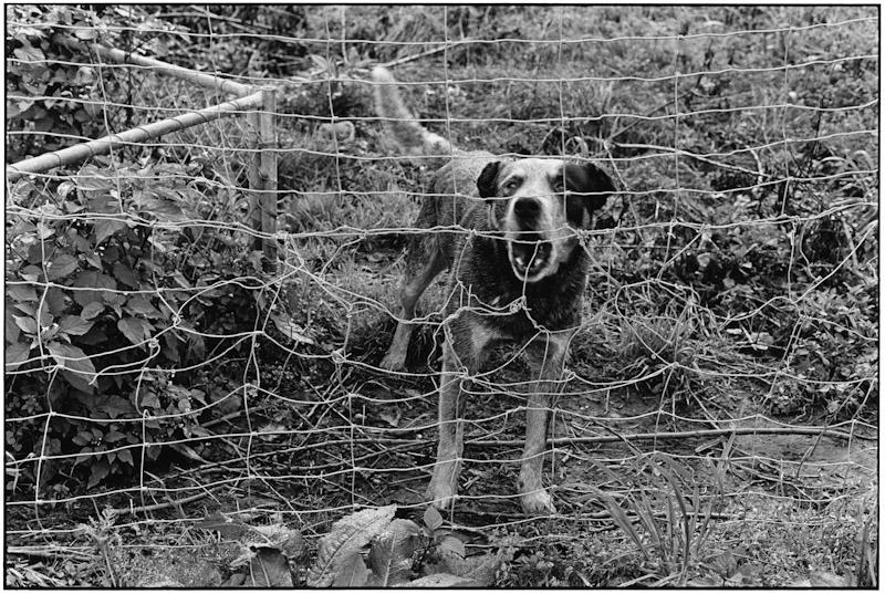 Auckland, New Zealand