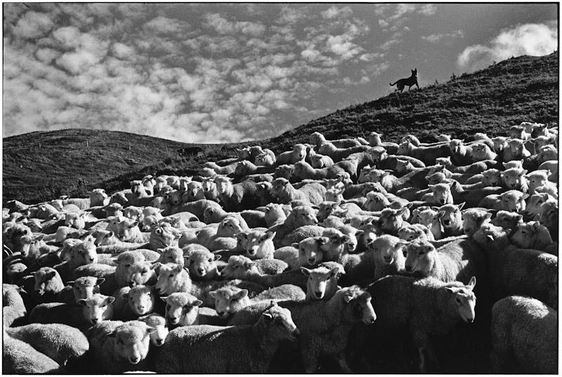 Auckland, New Zealand