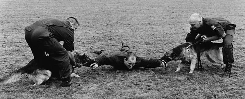 Auckland, New Zealand