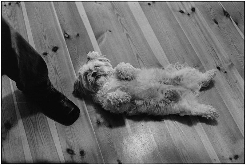 Auckland, New Zealand