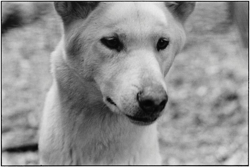 Auckland, New Zealand