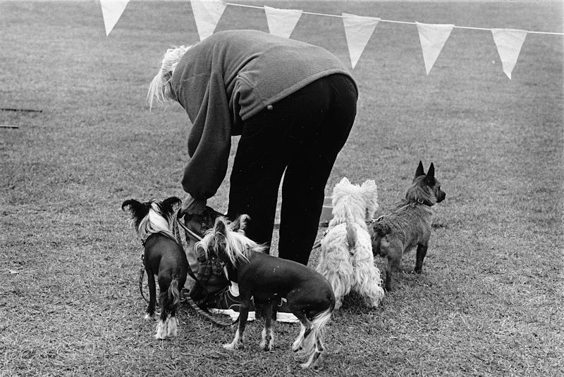 Auckland, New Zealand