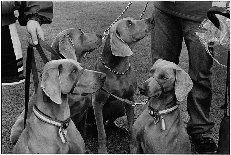 Auckland, New Zealand