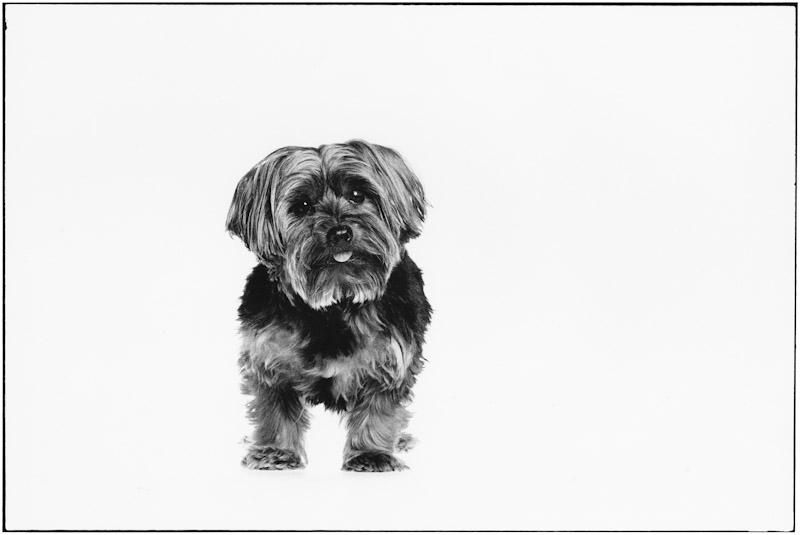 East Hampton, New York