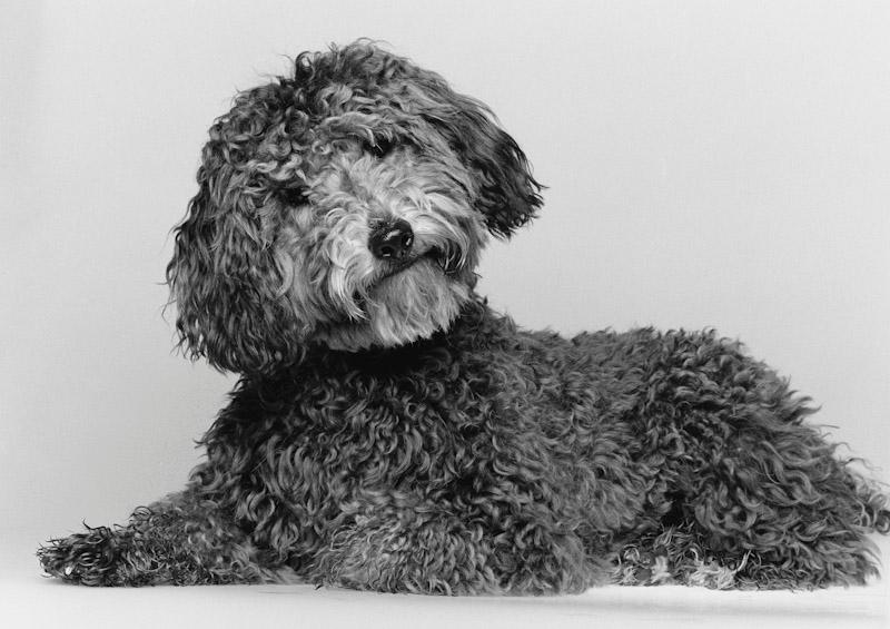 East Hampton, New York