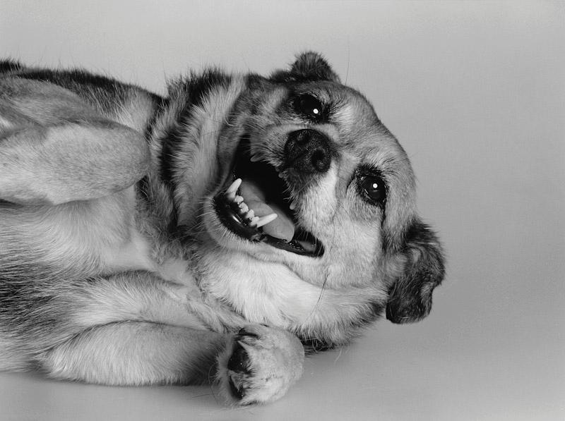 East Hampton, New York