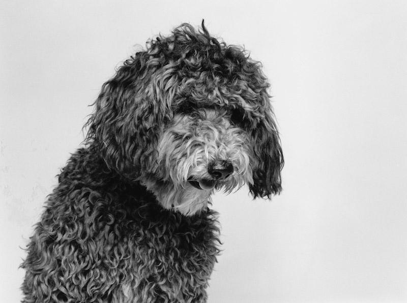 East Hampton, New York