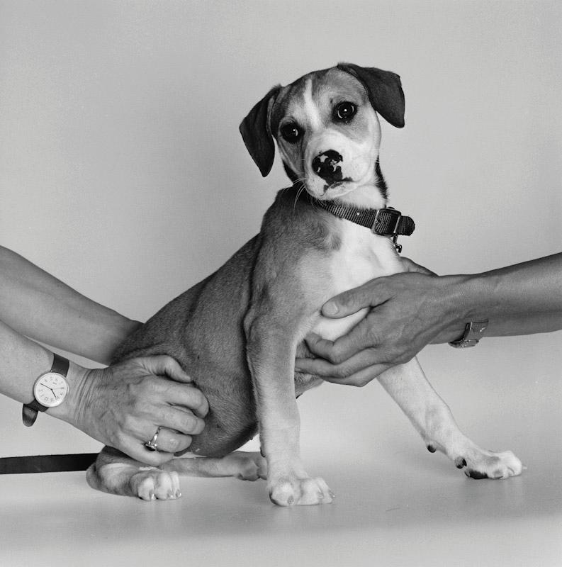 East Hampton, New York