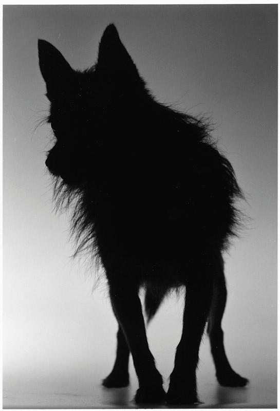 East Hampton, New York