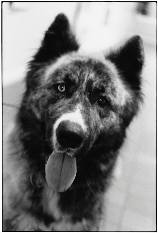 East Hampton, New York