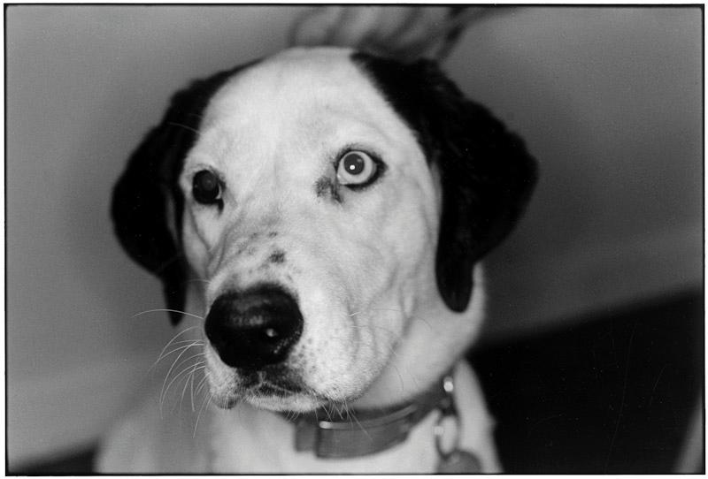 East Hampton, New York