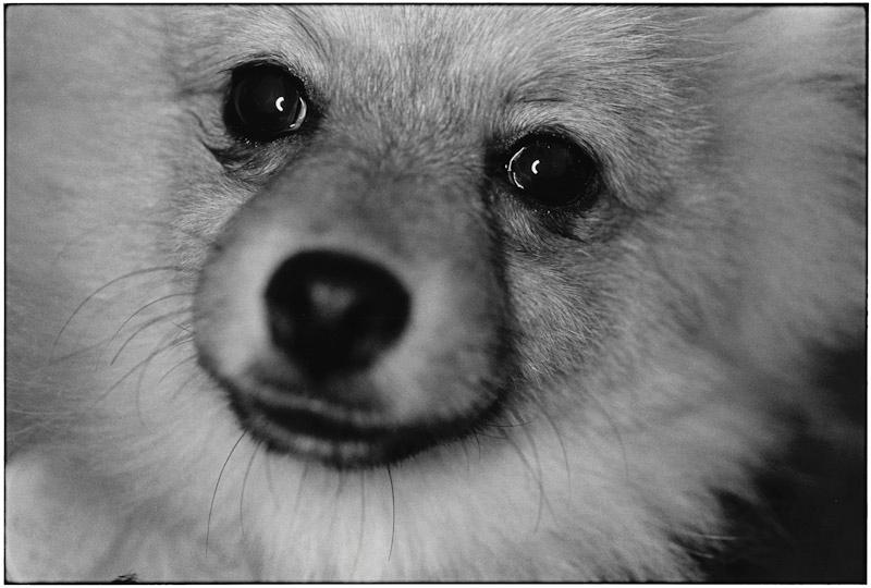 East Hampton, New York