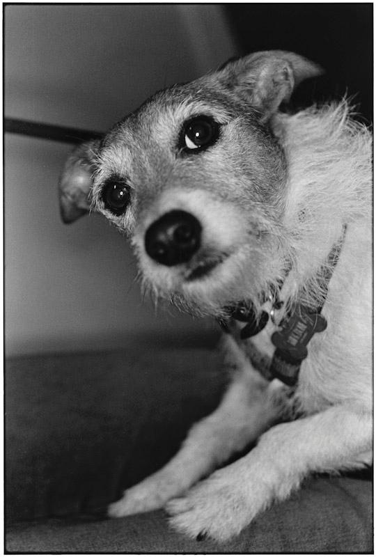 East Hampton, New York