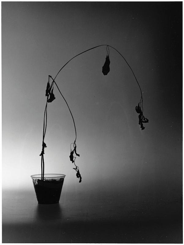 East Hampton, New York