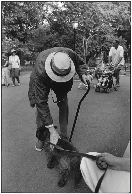 Central Park, New York, New York