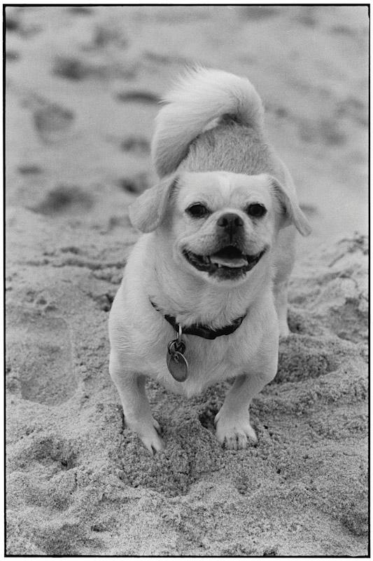 East Hampton, New York