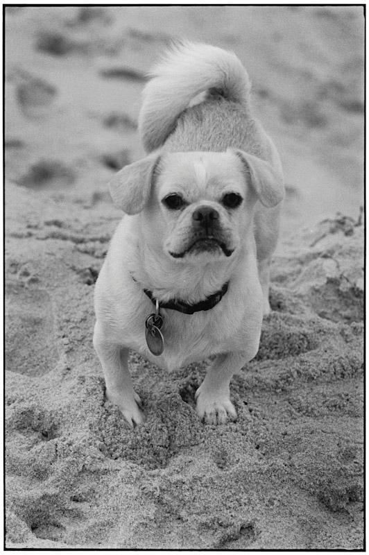 East Hampton, New York