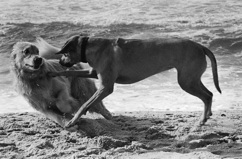 East Hampton, New York