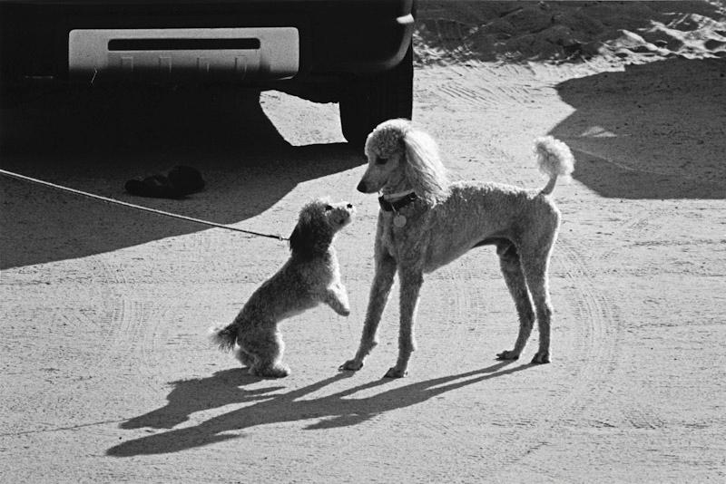 East Hampton, New York