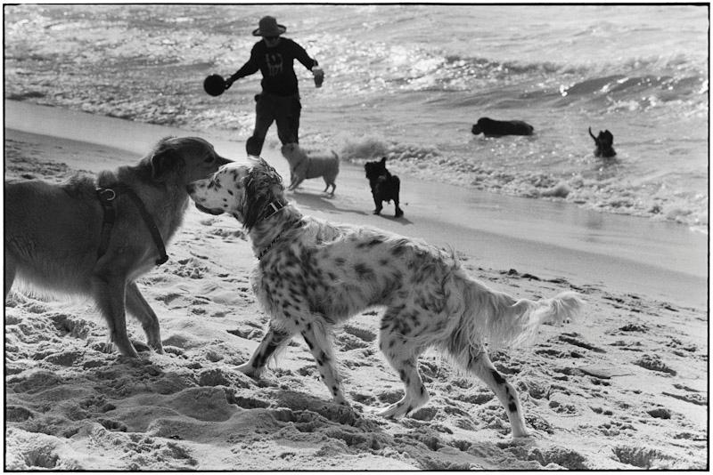 East Hampton, New York