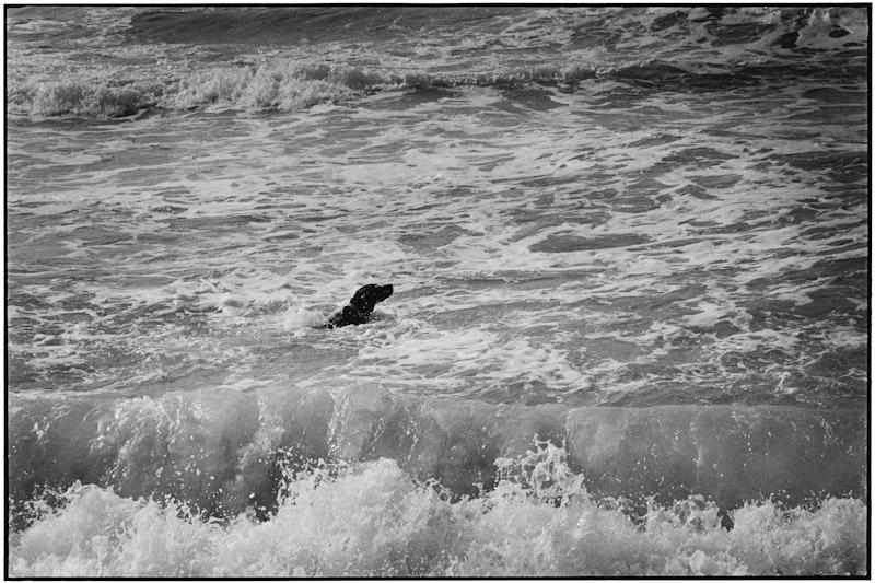 East Hampton, New York